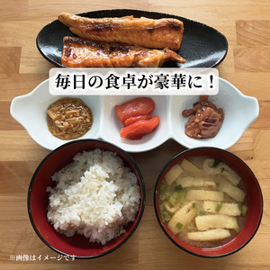 イカの塩辛800g 200g×4パック いか 塩辛 海鮮 魚貝類 魚介類 ご飯 おかず 白米 岩手県 大船渡市