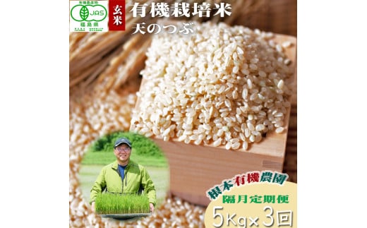 【令和6年産】 南相馬 天のつぶ 定期便 5kg 5キロ 3回 15kg 15キロ JAS 有機米 根本有機農園 玄米  コメ ブランド米 福島 福島県産 低温貯蔵庫 送料無料 旨い ふるさと納税 オンライン申請【3005101】