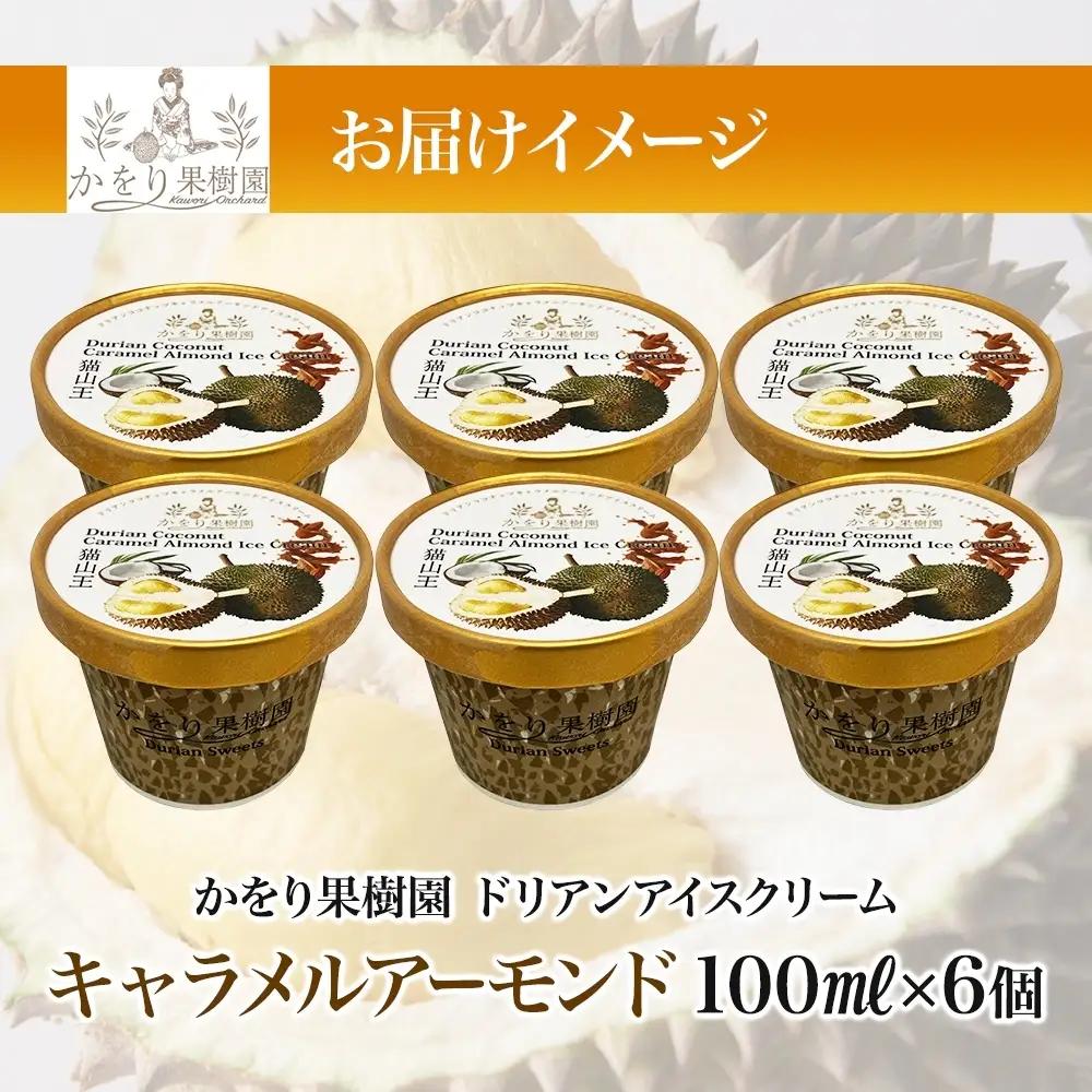 【予約受付】 ドリアン ココナッツ キャラメルアーモンド アイスクリーム 100ml 6個 ココナッツ キャラメル