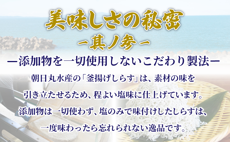 釜揚げ しらす 500g 国産 徳島県産 和田島産 とれたて 新鮮 産地直送 冷蔵 発送 小分け 250g 2袋 セット 和田島しらす ちりめん 魚介類 魚 小魚