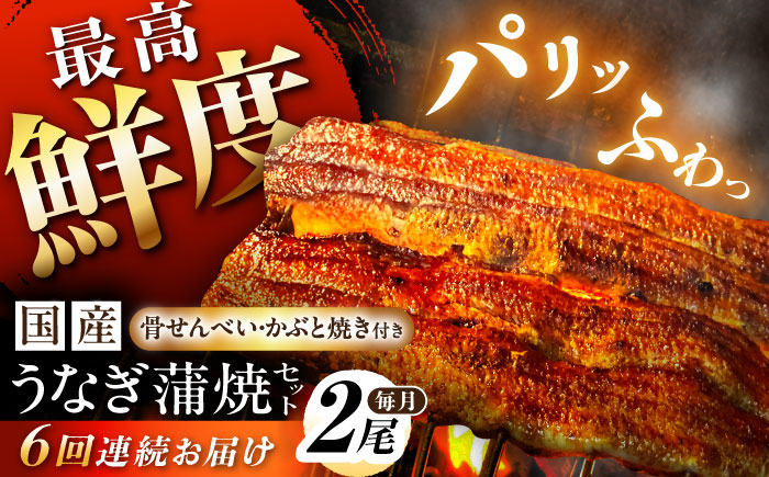 
            【6回定期便】【備長炭】 国産 うなぎの蒲焼 2尾セット 鰻 ウナギ タレ付き 白川町 / 多幸八 [AWBL011]
          
