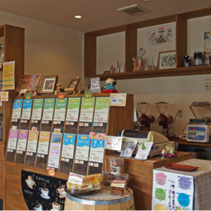 【直火焙煎珈琲】＜定期便３ヶ月＞ストレート ２種セット 400g(200gx2) 豆 計３回 マスターおすすめ 珈琲専門店