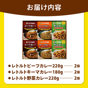 【定期便6回】ココイチ カレーHセット（ビーフ・キーマ・野菜各2個） (毎月お届け）｜カレー CoCo壱番屋 常温保存 非常食 簡単 時短 自宅用 キャンプ  ふるさと納税