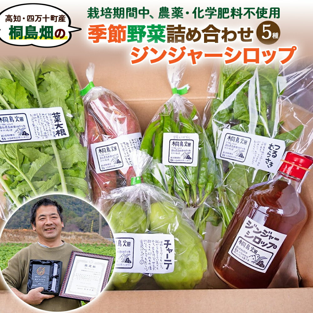 【ふるさと納税】【栽培期間中、農薬・化学肥料不使用】桐島畑の季節野菜(5種類)＋ジンジャーシロップ1本 Fkh-A11 ／ やさい 国産野菜 四万十 高知 季節 フレッシュ 旬 無農薬 有機農業 生姜 粗糖 温活 ジンジャーエール ホットジンジャー