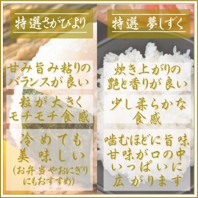 ふるさと納税 江北町 【毎月定期便】【無洗米】食べ比べ(さがびより・夢しずく)2kg×2袋(江北町)全2回 |  | 01