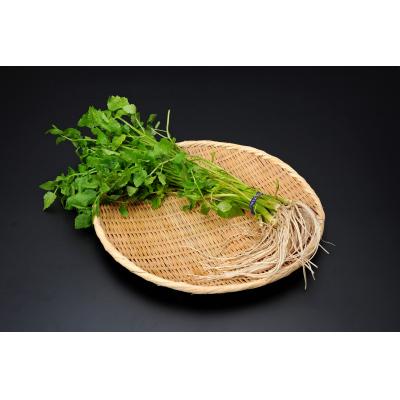 ふるさと納税 湯沢市 三関産セリ5束[M7801]