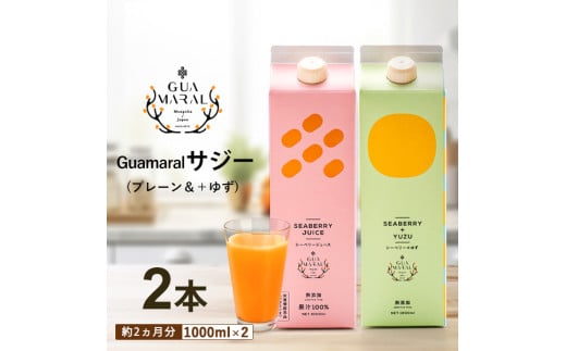  サジージュース 100%と+ゆず 1000ml×各1本セット（計2本） | サジー シーベリー 沙棘 グアマラル 健康ドリンク 健康 美容 栄養 果汁 鉄分補給 栄養補給 健康食品 ギフト 贈答 プレゼント ご褒美 お祝 記念品 _DX06