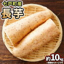 【ふるさと納税】七戸産 長芋 10kg 【山芋 ながいも とろろ 白米 ご飯のお供 粘り ヘルシー あっさり 新鮮 野菜 青森県 七戸町 常温 贈り物 お歳暮 冬 ギフト】【02402-0055】