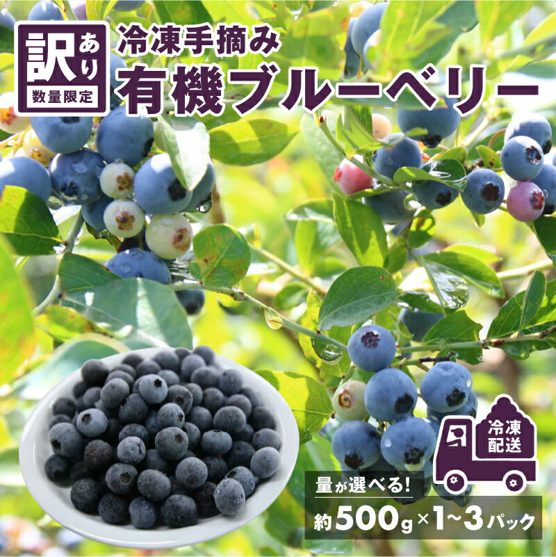 【ふるさと納税】【先行予約】【7月中旬以降順次発送】＜選べる内容量＞【訳あり】令和8年産〈冷凍〉手摘み有機ブルーベリー（500g × 1〜3パック）[B-11302] 農薬不使用 無農薬 冷凍ブルーベリー 加工用 スムージー スーパーフード 国産 500g 1kg 1.5kg 鯖江市 ふるさと納税