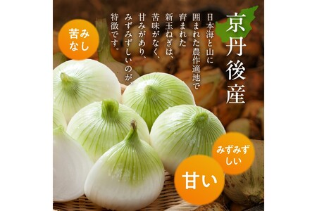 【訳あり】新たまねぎ　新鮮なタマネギ／料理にも使いやすい玉葱／京都産 玉ネギ／玉ねぎスープにも！