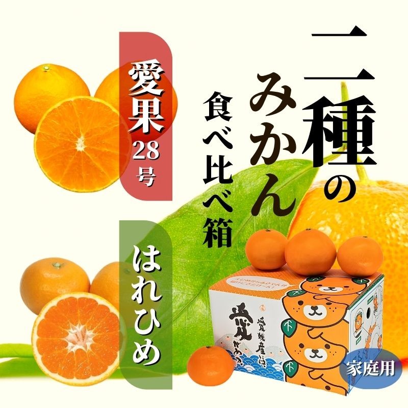 
                  【2026年12月頃から順次発送】 二種のみかん食べ比べ箱 約1.5kg / 約2.8kg 【愛果28号・はれひめ】家庭用 | 食べくらべ 愛媛 みかん 詰め合わせ 蜜柑 柑橘 果物 くだもの フルーツ お取り寄せ グルメ 期間限定 数量限定 人気 おすすめ 愛媛県 松山市
                