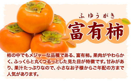 ご家庭用 富有柿 約7.5kg 柿