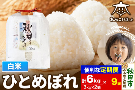 《定期便9ヶ月》ひとめぼれ 6kg(3kg×2袋) 【白米】 秋田市産