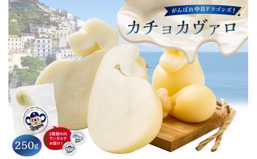 がんばれ中日ドラゴンズ！カチョカヴァロ1個【中日ドラゴンズコラボ】【 岐阜県 可児市 しぼりたて 高品質 生乳 熟成 セミハードチーズ 優しい食感 ミルク 風味 美食 グリル 野菜 パン キノコ 赤身の肉 お取り寄せ グルメ 】