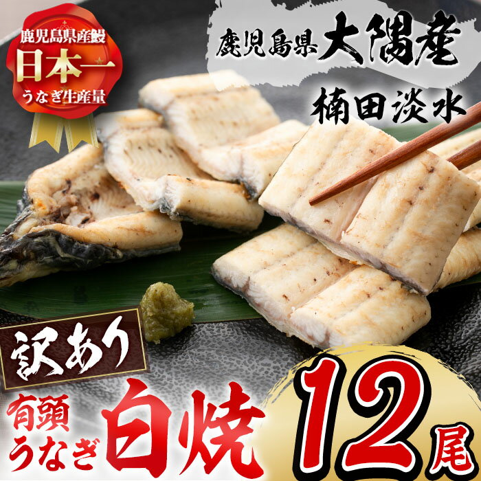 【ふるさと納税】【訳あり】鹿児島県大隅産！楠田の極うなぎ白焼き 有頭(12尾 計2.1kg以上) 国産 鹿児島県産 鰻 不揃い 大容量 真空 冷凍 白焼き うなぎ 訳あり【楠田淡水】 j0-004