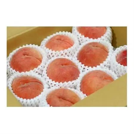 【2026年発送】フルーツ王国　長野県信州直送　白桃　約1.5kg(3～7玉)【配送不可地域：離島】【1576251】
