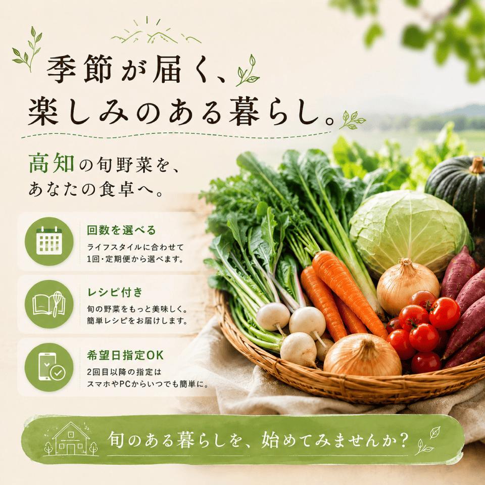 【年12回】高知から産直！旬の季節のお野菜定期便（7～9品）