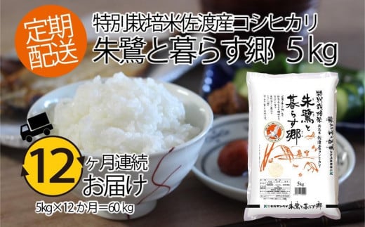 
            【12ヶ月連続お届け】佐渡産コシヒカリ 朱鷺と暮らす郷（5kg）
          