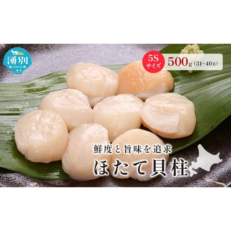 オホーツク海産 冷凍 ほたて 貝柱 500g 5Sサイズ [株式会社寺本商店]【 帆立 ホタテ 刺身 玉冷 海鮮 魚介 魚貝類 生食用 北海道 湧別町 サロマ湖 】