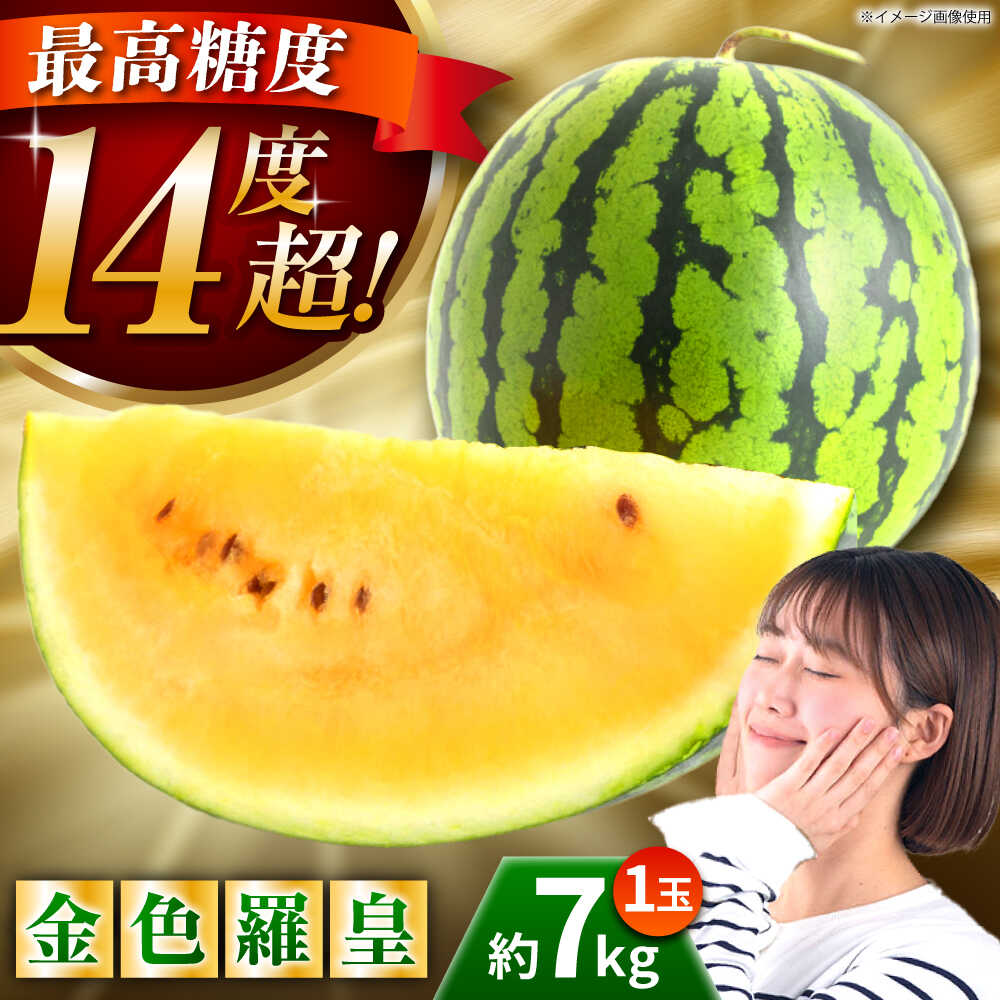 【ふるさと納税】【先行予約】金色羅皇 スイカ 2L以上 1玉 約7kg すいか 野菜 フルーツ 果物 【日本フルーツ株式会社】 [ZFJ008]