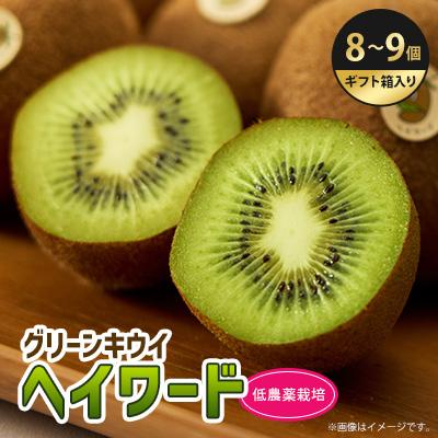 ふるさと納税 掛川市 5882　掛川産グリーンキウイ「ヘイワード」8〜9個(ギフト箱入り)