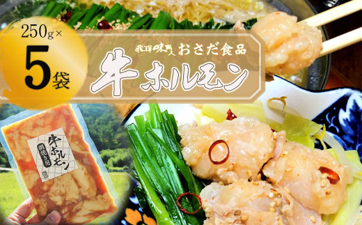 牛ホルモン 網焼き用（250g×5袋） 飛騨 牛肉 ホルモン BBQ 味付け 贈答 ギフト  もつ鍋【飛騨 味職人】