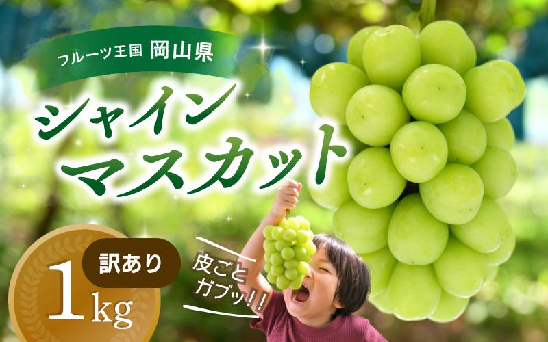 
            【2025年先行予約】ぶどう 訳あり 花笑み農園の シャインマスカット 1kg hana35. / ぶどう ブドウ 葡萄 岡山 シャインマスカット 先行予約 フルーツ 果物 真庭市
          