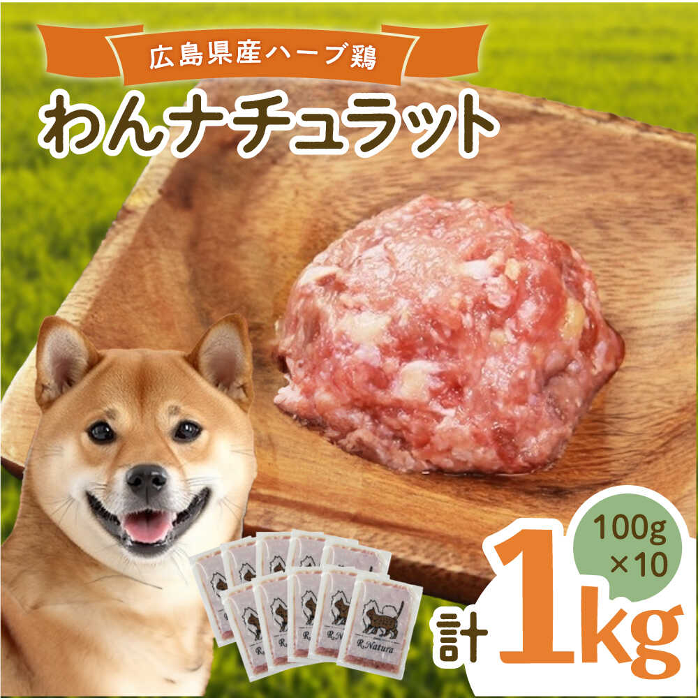 【ふるさと納税】ペットフード 広島県産ハーブ鶏わんナチュラット 100g×10p 計1kg ペットフード 1kg 犬のえさ おすすめ 国産 人気 ドッグフード ウェットフード 小分け 送料無料 ハーブ 鶏 餌 犬 ペット用品 広島県福山市/R.Natura（アール ナトゥーラ）[BAAH004]