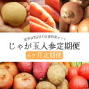 【ふるさと納税】【定期便6回コース】 じゃが玉人参セット 約5kg じゃがいも・玉ねぎ・人参の定番野菜 3品目の野菜詰め合わせ 夏季は7～8品目 野菜 セット / 旬 旬野菜 野菜 定番 / 大村市 古瀬青果[ACBD007]