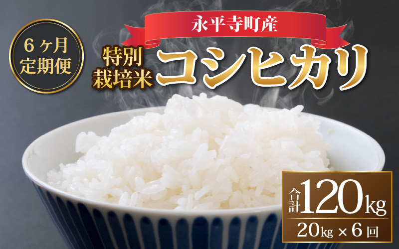 
            【先行予約】【6ヶ月連続お届け】【白米】 令和6年度産 永平寺町産 農薬不使用・化学肥料不使用 特別栽培米 コシヒカリ 20kg×6ヶ月（計120kg）＊2025年1月20日前後以降発送開始予定[M-033020]
          