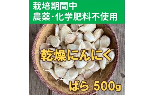 ポストに届いて便利！乾燥にんにく ばら（500g）　栽培期間中農薬・化学肥料不使用