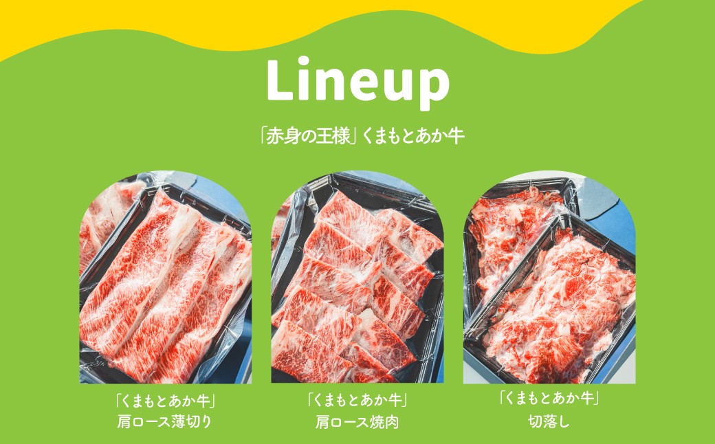 【6ヶ月連続定期便】スザンヌが選ぶ熊本ギフトくまもとあか牛と阿蘇どんぐりポーク定期便6ヶ月