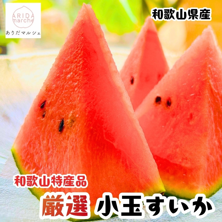 ［先行予約 2027年6月発送］厳選 小玉すいか Mサイズ／1玉入り［農家直送］［先行予約］［和歌山県産］［MS126］