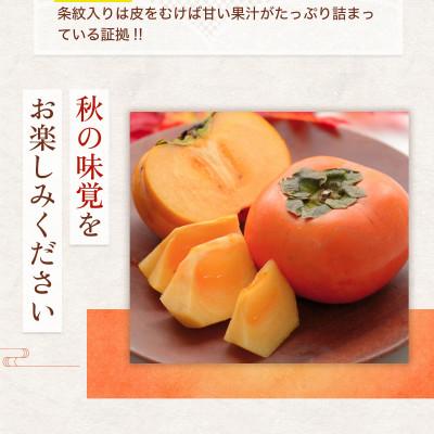 ふるさと納税 朝倉市 朝倉産　太秋柿　約2kg(朝倉市) |  | 03