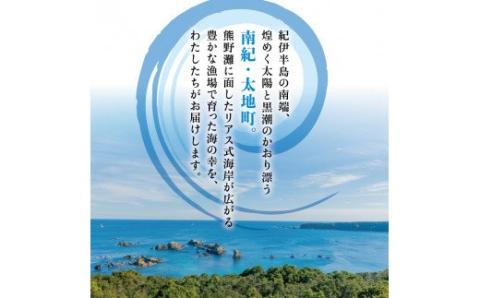 干物セット 大容量でお届け アジの開き20枚セット ひもの 詰め合わせ 干物【sio110A】