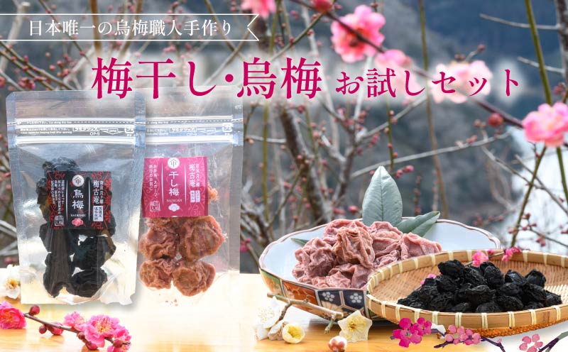 梅干し 烏梅 お試しセット 無添加 干し梅 梅 梅干し うめ 梅干 漬物 漬け物 ご飯 白米 白飯 お弁当 おかず ご飯のお供 ごはんのお供 おつまみ おやつ お茶 梅茶 うばい 薬膳 奈良県 奈良市 J-29