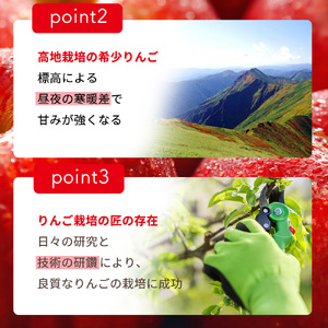 ぐんま名月 りんご 約3kg（片品フルーツ農園）