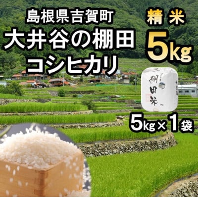 
＜令和6年9月下旬より順次発送＞令和6年産　棚田米コシヒカリ精米5kg【1259299】
