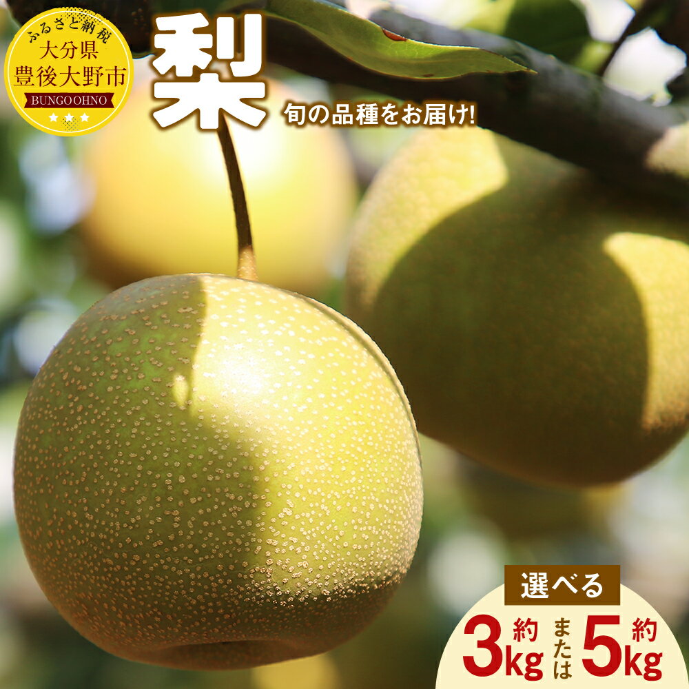 【ふるさと納税】【先行予約】大分県 豊後大野市産 梨 ＜容量が選べる＞ 約3kg または 約5kg なし 幸水 豊水 新高 新興 フルーツ 果物 くだもの 果実 大分県産 予約 送料無料 ※品種は選べません【2025年8月上旬から12月上旬発送予定】