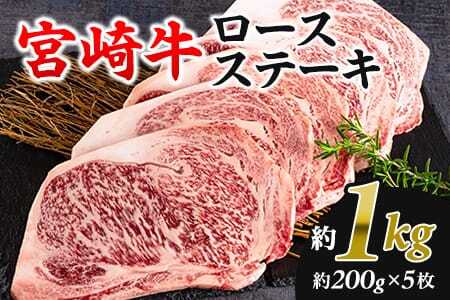 ＜宮崎牛ロースステーキ 個包装 約1kg(約200g×5枚)＞【MI194-hr】【肉の豊楽】