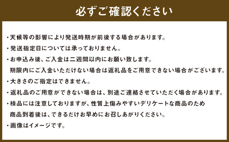 浅岡農園 の 梨 約5kg 豊水 秋月 新高 甘太 果物 大分県産 【2025年9月上旬-11月上旬発送予定】