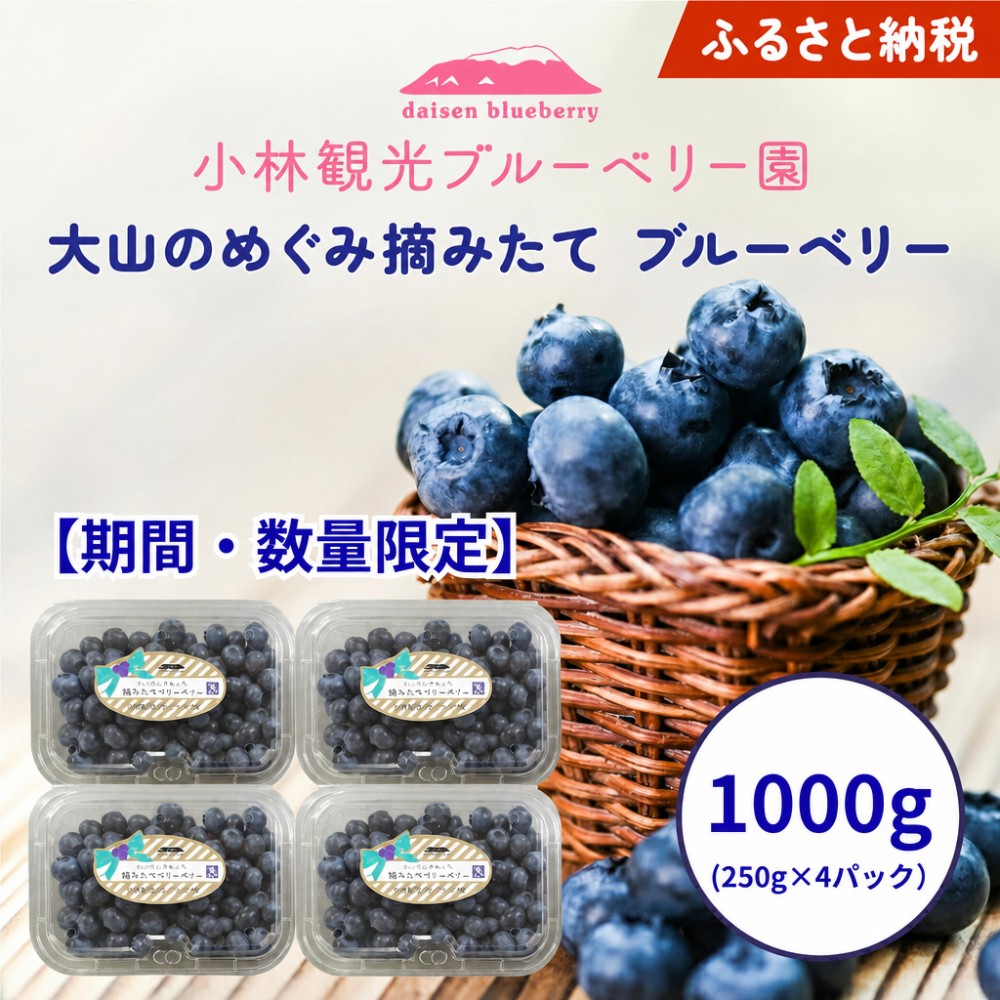 
                  KB-04【期間・数量限定】だいせんのめぐみ摘みたてブルーベリー 1ｋｇ
                