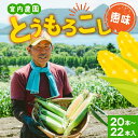 【ふるさと納税】北海道産 とうもろこし 恵味 めぐみ 2L 20～22本 7月下旬～8月下旬頃お届け 朝採り 恵み トウモロコシ スイート コーン 甘い 旬 夏 野菜 新鮮 朝採れ 産地直送 宮内農園 送料無料 北海道 洞爺湖町　洞爺湖町　お届け：2024年7月下旬から8月下旬まで