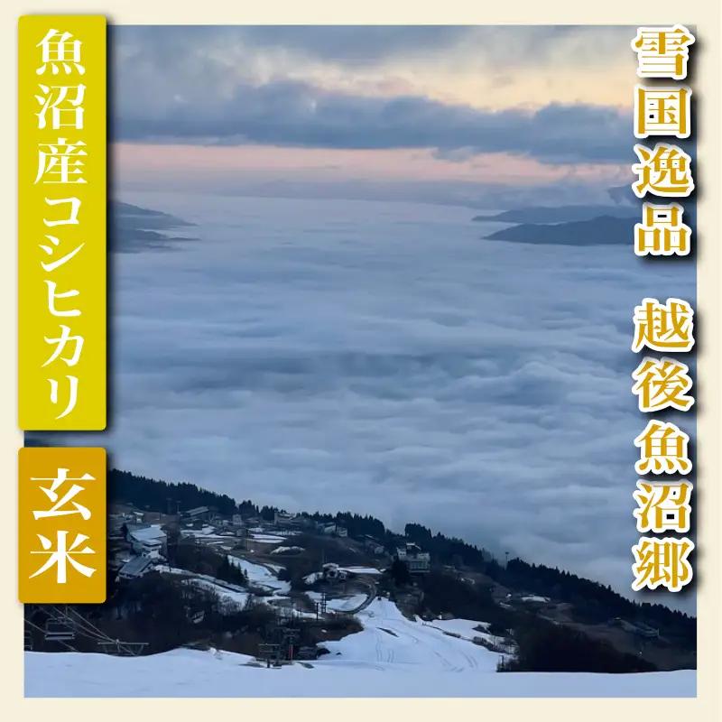 令和8年産【雪国逸品 玄米3kg】越後魚沼郷 魚沼産コシヒカリ