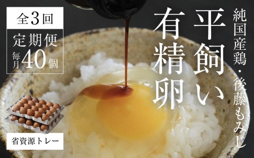 【全3回定期便】平飼い有精卵 省資源トレー 40個 《西粟倉村》【株式会社点々】t-SS-BqDA