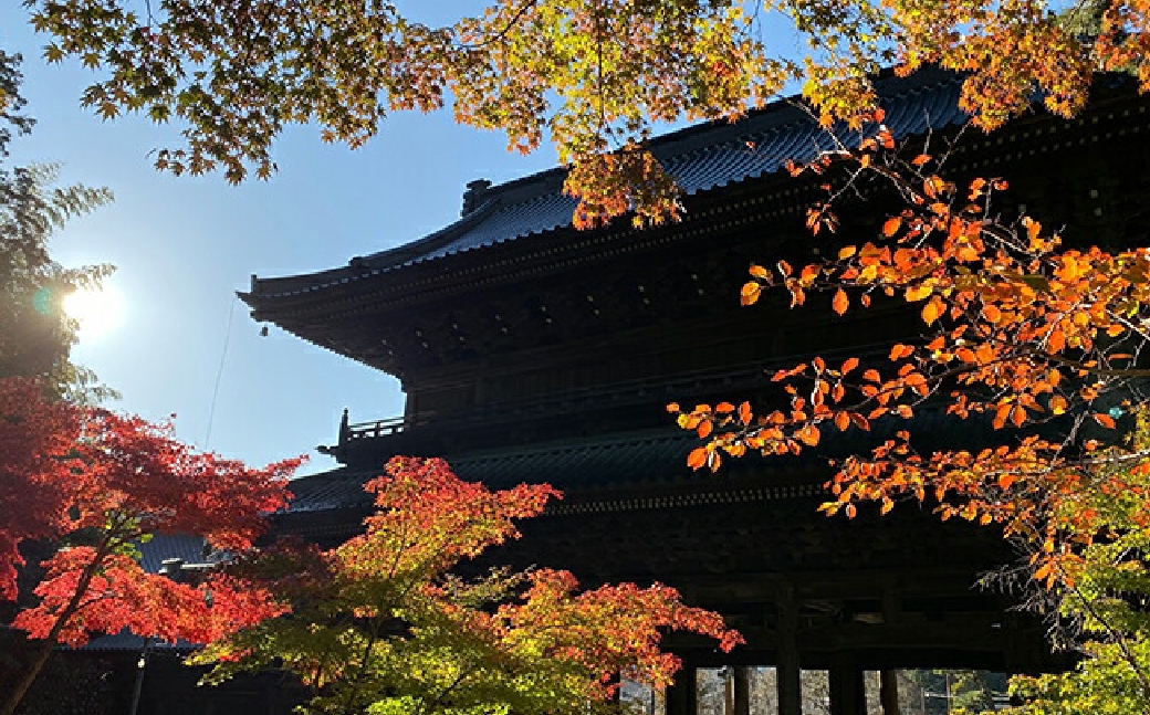 田中屋旅館1泊2食付きペア宿泊券