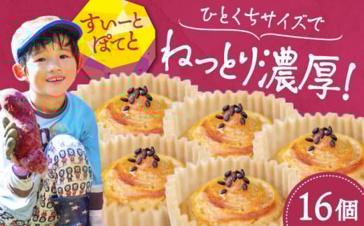 【ねっとり濃厚】ひとくちサイズ スイートポテト 16個セット 芋 サツマイモ さつま芋 バターケーキ 焼き芋 スイートポテト 大学芋 さつまいも スイーツ 詰め合わせ セット 和菓子 洋菓子 お取り寄せ グルメ 人気 おすすめ スイーツ さつまいも おやつ 個包装 贈答品 リピート ギフト 人気 高品質 好評 広島県産 江田島市/峰商事合同会社[XAD015]