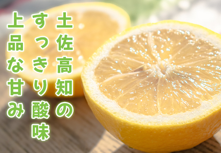 小夏 3kg 贈答 ギフト用  日向夏 ニューサマーオレンジ 柑橘 みかん ノーワックス こなつ くだもの 果物 産直 旬の果物 お取り寄せ 産地直送 フルーツ 爽やか スッキリ 甘い 高知県 大月町