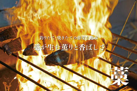 一本釣り地鰹の藁焼きタタキ（旬凍）３～４人前