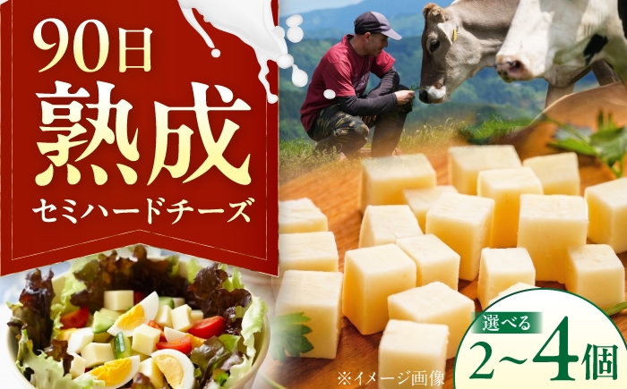 
                  チーズ  【個数が選べる】山地放牧酪農ミルクのセミハードチーズ（UCHIKO180）2個・3個・4個セット/ チーズ ちーず cheese おつまみ 乳製品 セミハードチーズ 熟成チーズ 熟成 ワイン UCHIKO180 美味しいチーズ 人気 おすすめ 送料無料 ナチュラルチーズ 新鮮 乳製品 加工食品 食品 グルメ 愛媛県 内子町 伝統製法 / 株式会社醍醐 [BKAH009]
                